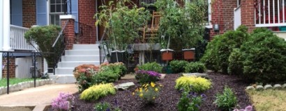 Low Maintenance Landscaping