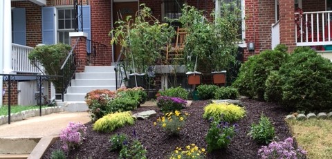 Low Maintenance Landscaping