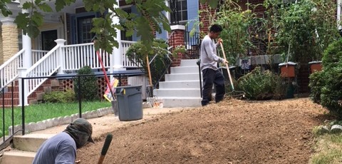 Low Maintenance Landscaping