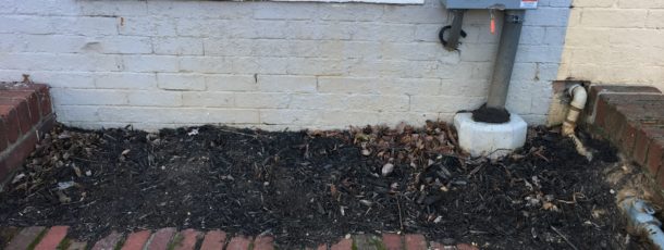 Amended Soil and Updated Flowerbeds