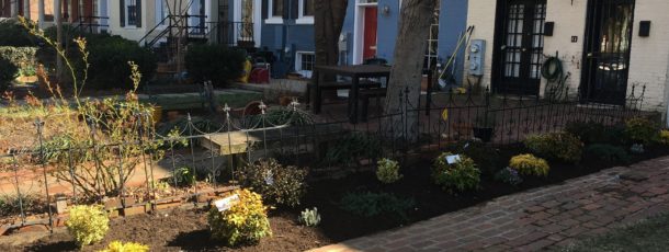Amended Soil and Updated Flowerbeds
