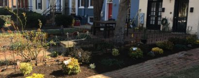 Amended Soil and Updated Flowerbeds
