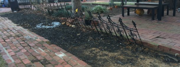 Amended Soil and Updated Flowerbeds